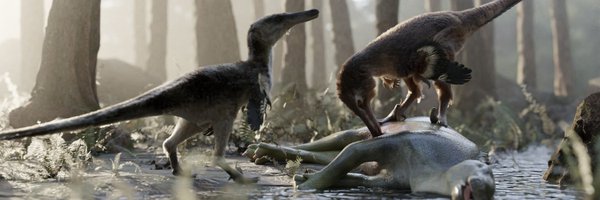 PaleoGDY Profile Banner