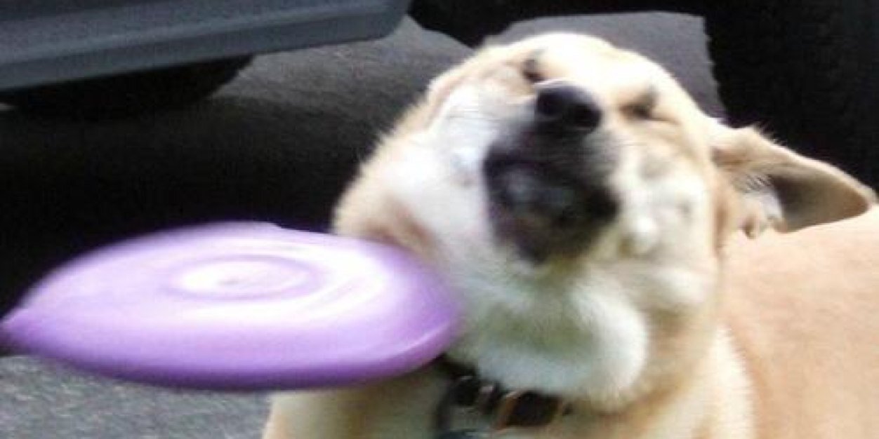 Benjamin Carson banner