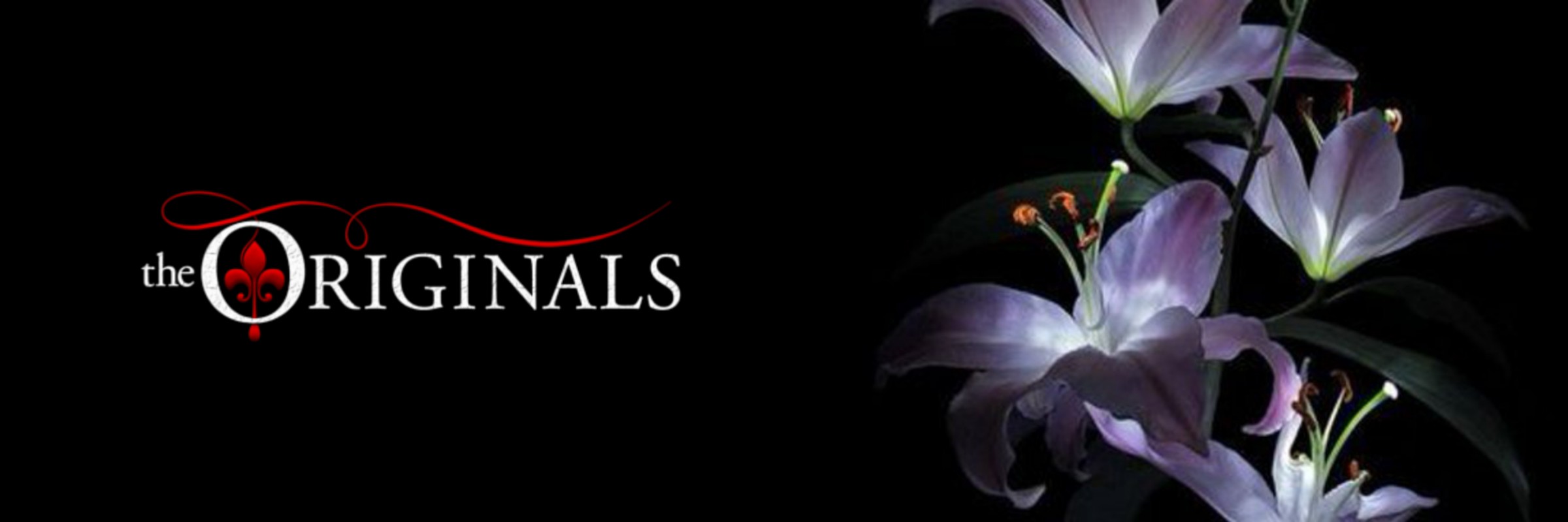 𝐠𝐢𝐫𝐥 𝐟𝐫𝐨𝐦 𝐧𝐨𝐰𝐡𝐞𝐫𝐞 ☾ ࣪⊹ banner