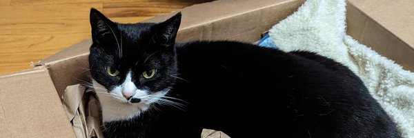 BlueCancer85 Profile Banner