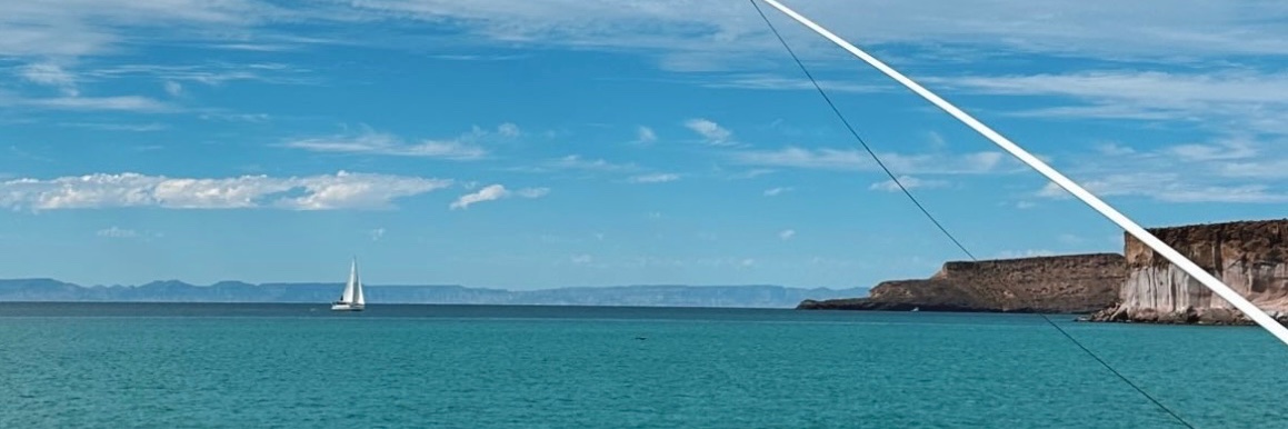 vsayval's profile banner image
