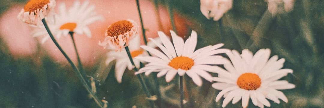 AnnttoRodriguez's profile banner image