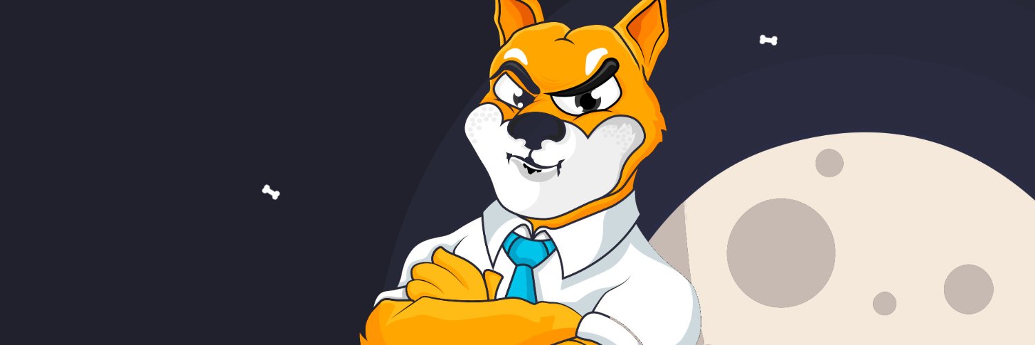 ShibaInuCoin13's profile banner image