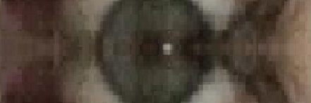 SovietMarshmallow12 banner