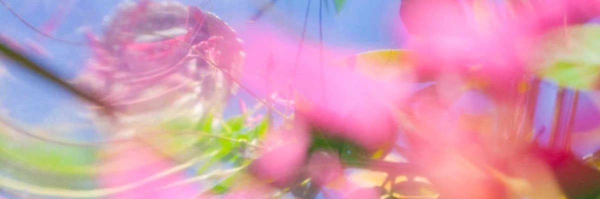 ant :) banner