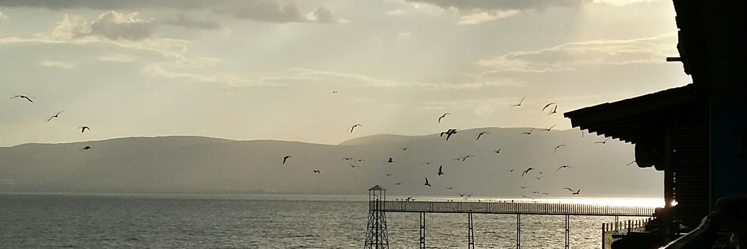 HomeroSc_'s profile banner image
