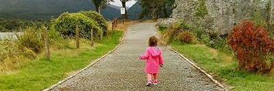 José L. Jiménez banner