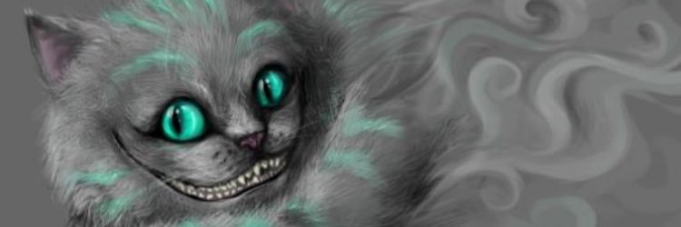 rachface35's profile banner image