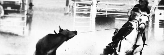 sierracorrell's profile banner image