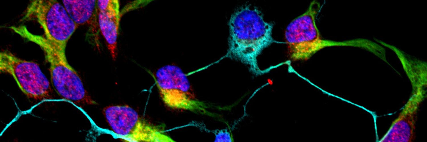 Michael KH Ling banner