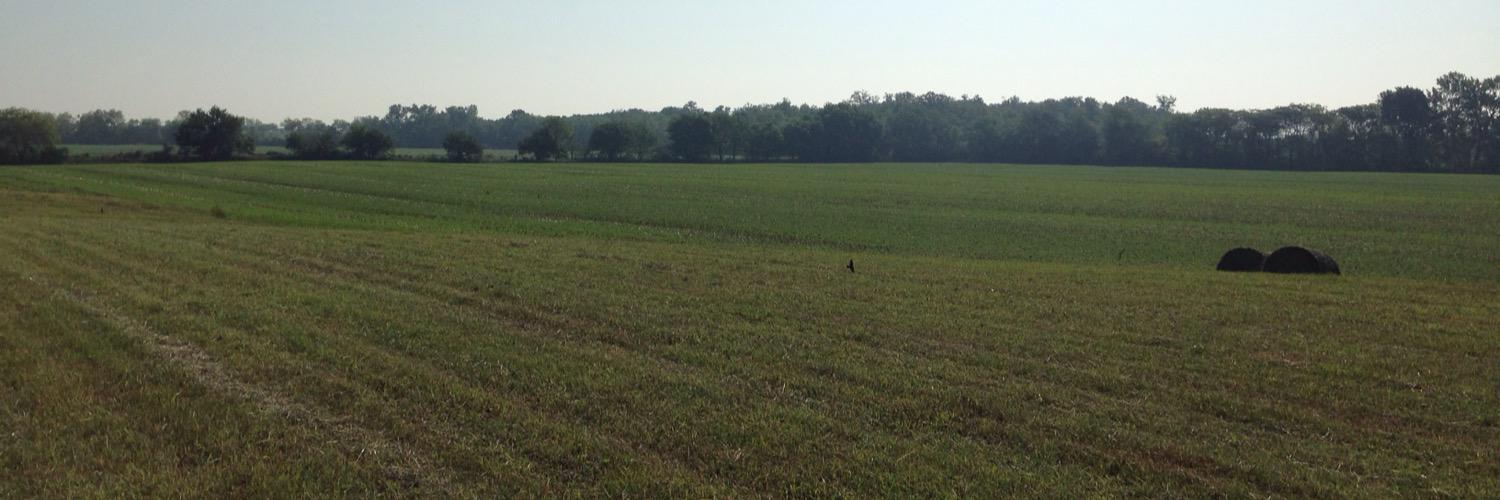 Cody Kirkpatrick banner