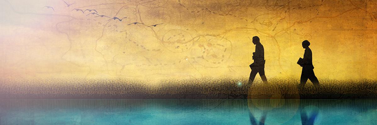 linesiam's profile banner image