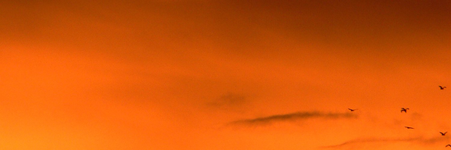 Eilish McHugh banner