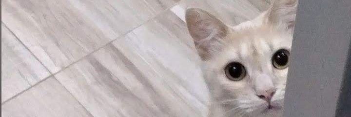 itstinitta's profile banner image