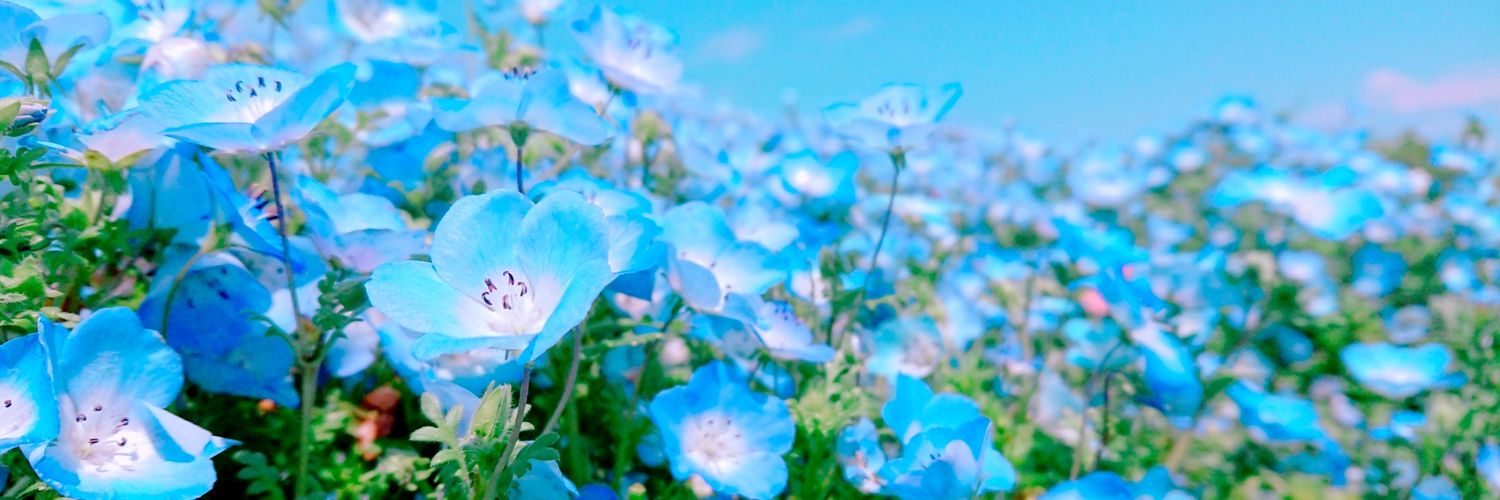 Arkbirds's profile banner image