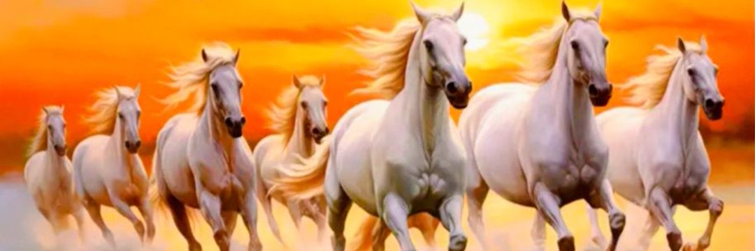 SHEKHARRAM19's profile banner image