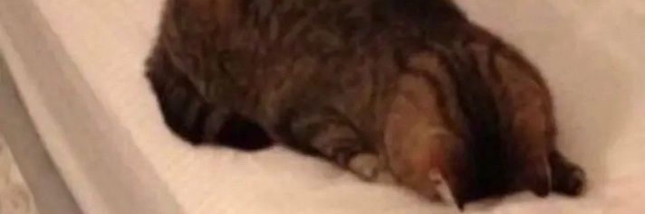 no banner