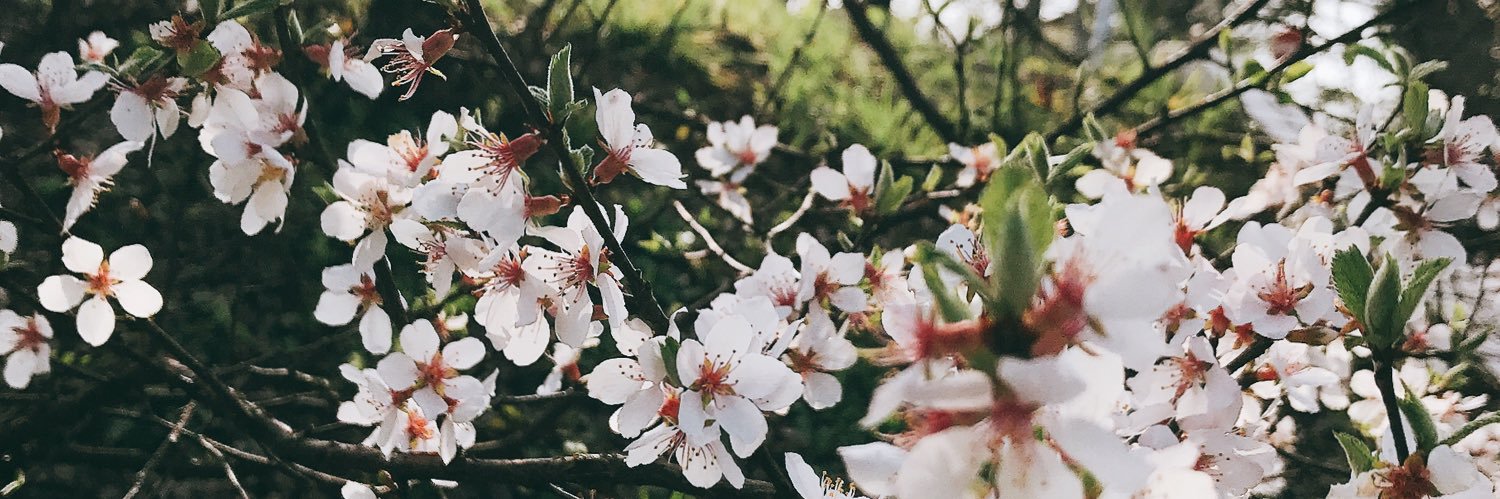 hiro_awako's profile banner image