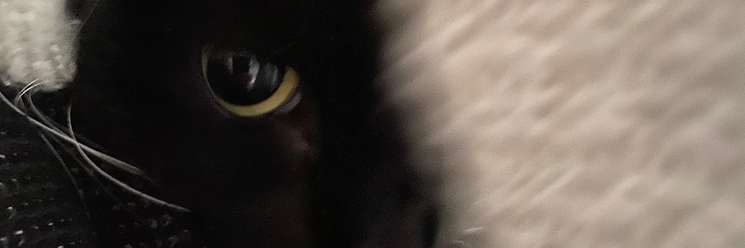 EarthlyThings's banner