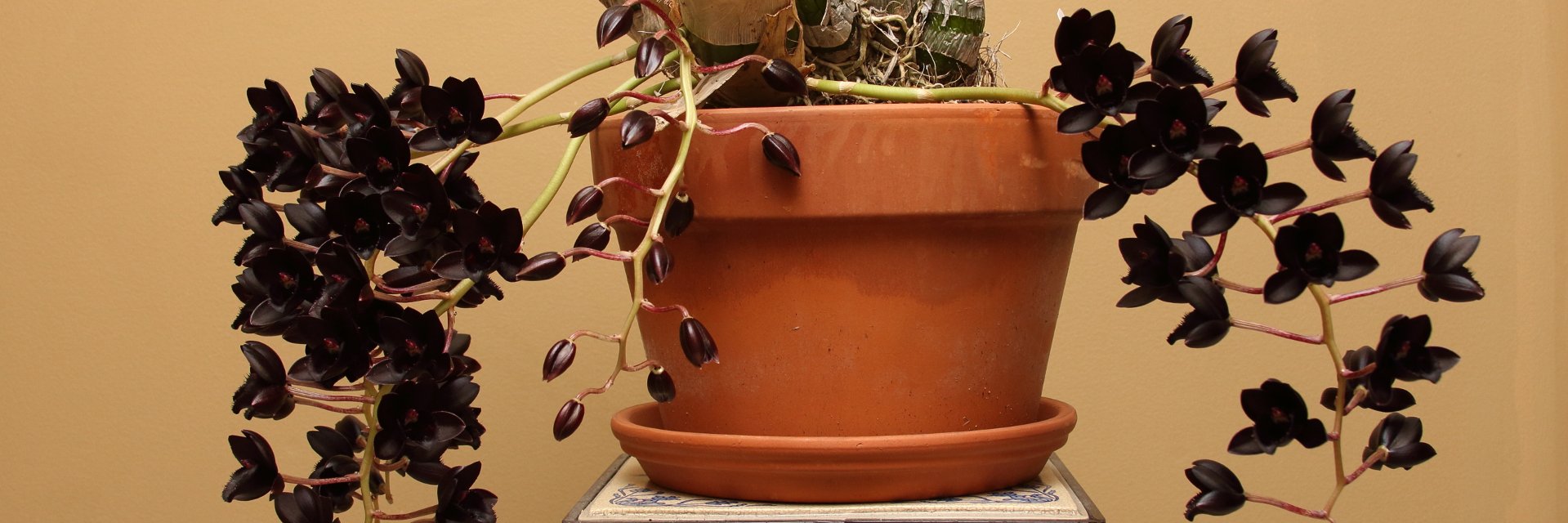 NickMoormann's profile banner image