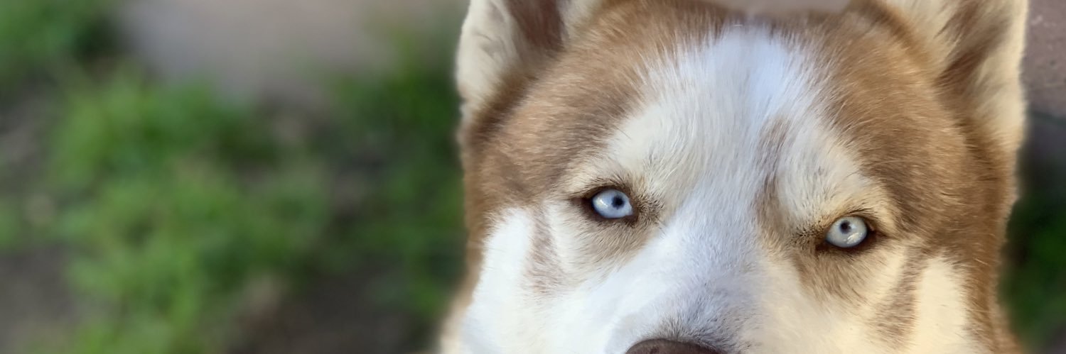 theLordeighth's profile banner image