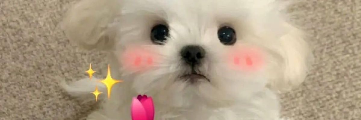 rubi_ banner