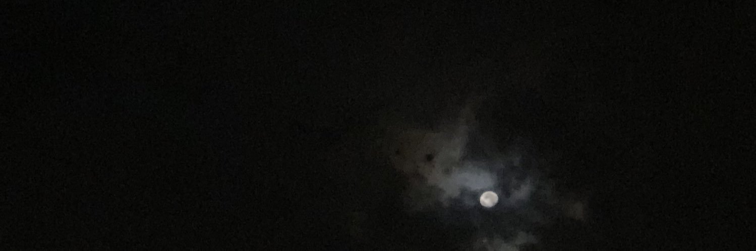 b0d_01's profile banner image