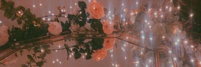browngazing's profile banner image