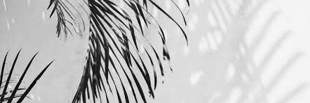FILO banner