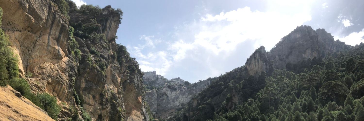 Alvaronr03's profile banner image
