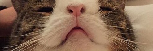 Zuhdj's profile banner image