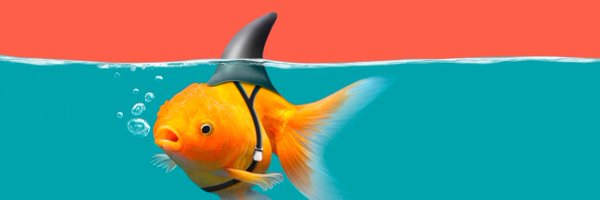 strongerby1 Profile Banner