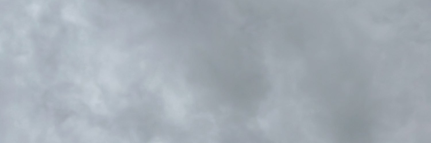 catto banner