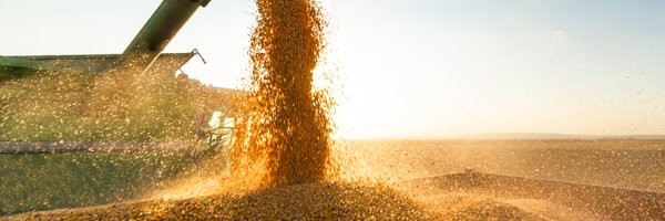 MarketCheck1 Profile Banner