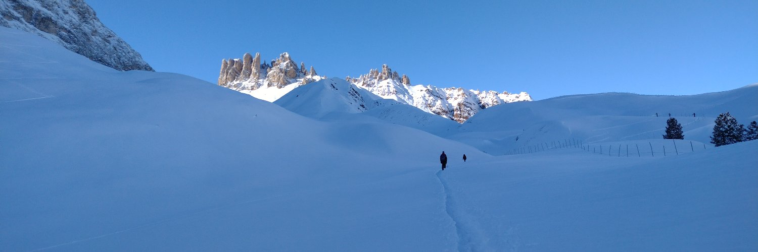 DanMarchesi's profile banner image