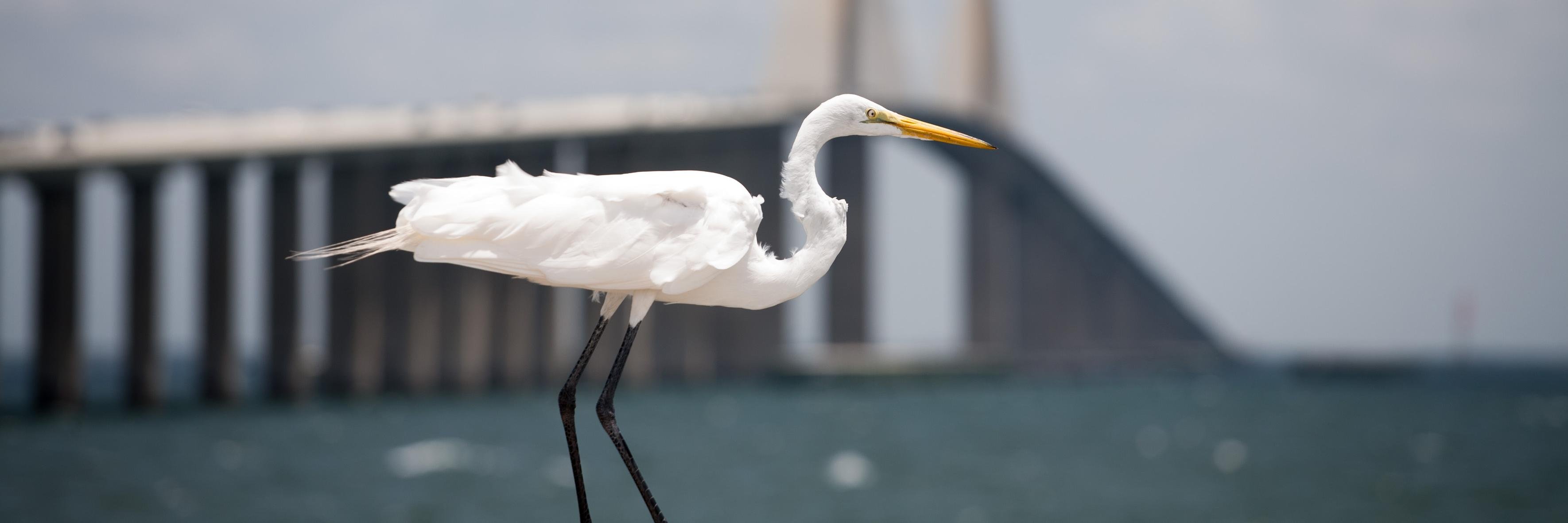 Заточка и точка. banner