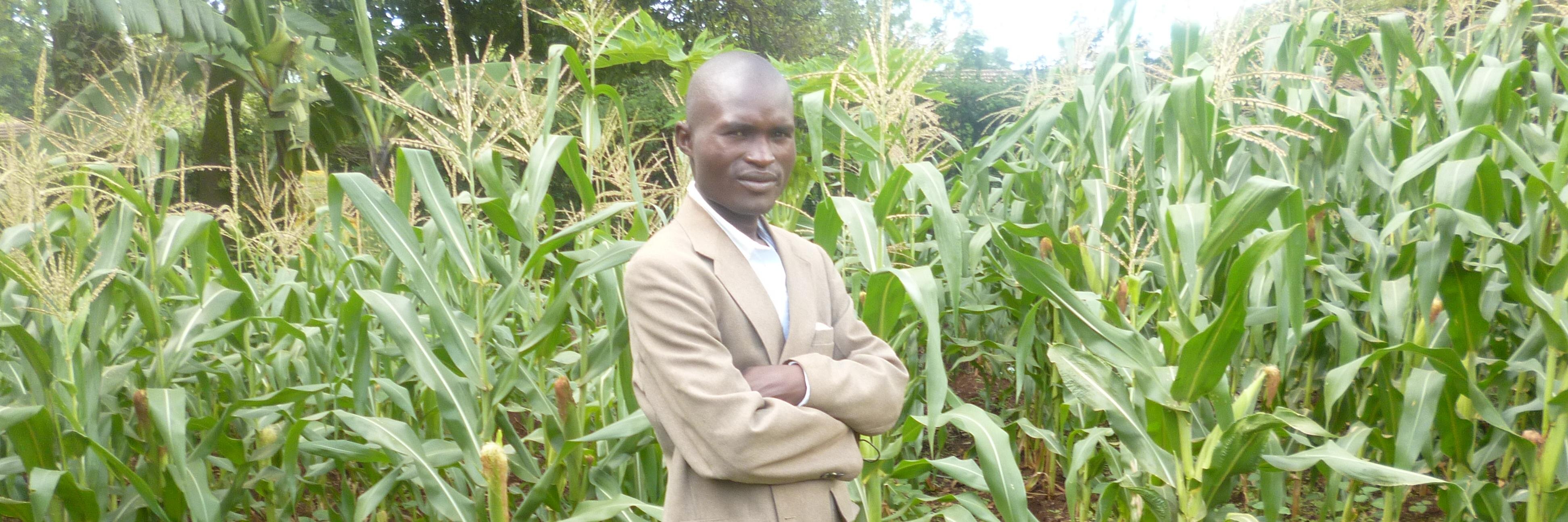 David Bondo banner