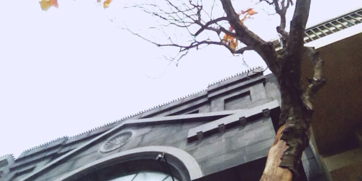 risdiary1's profile banner image