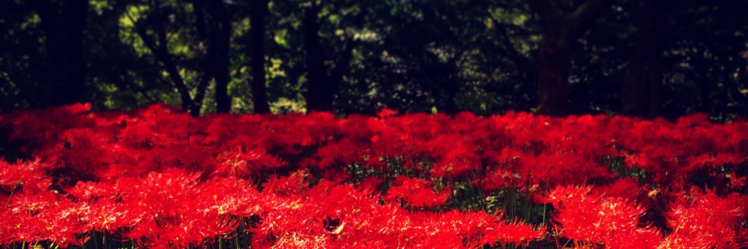 YOSHIDA_SHIORI's profile banner image