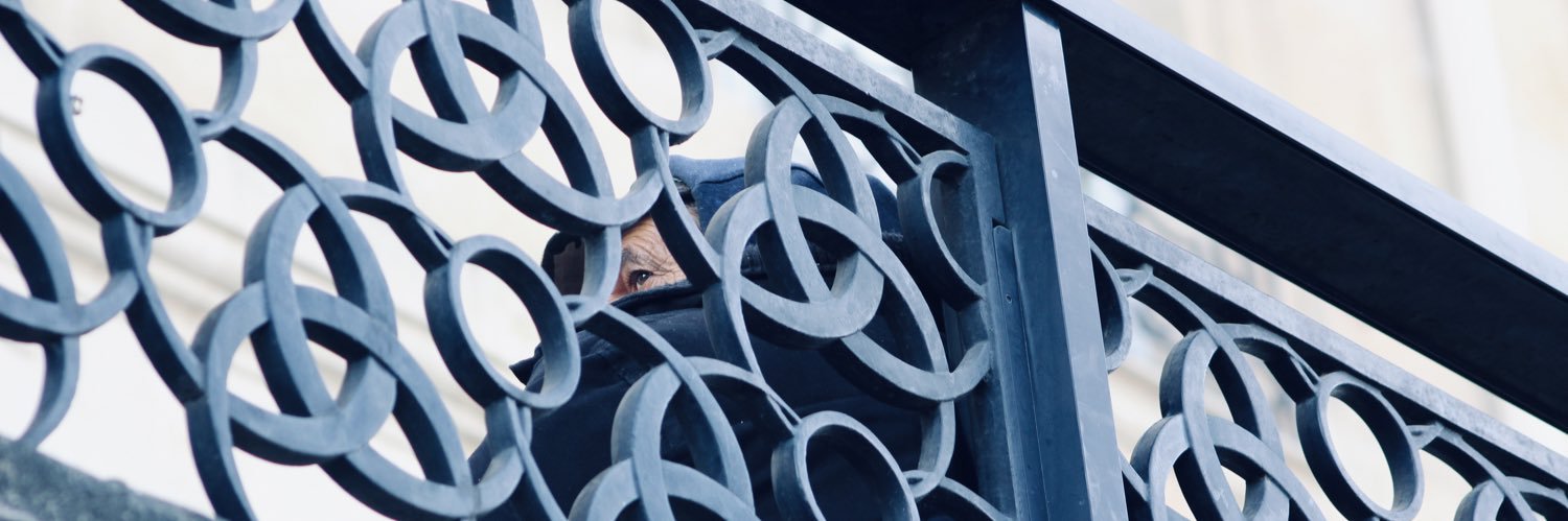 nvzvries's profile banner image