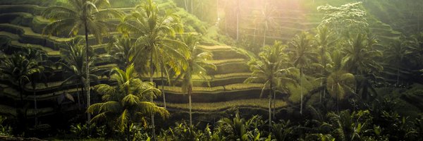 balian_troy Profile Banner