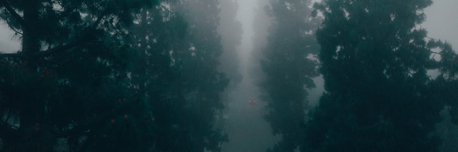 Bwarmuth13's profile banner image