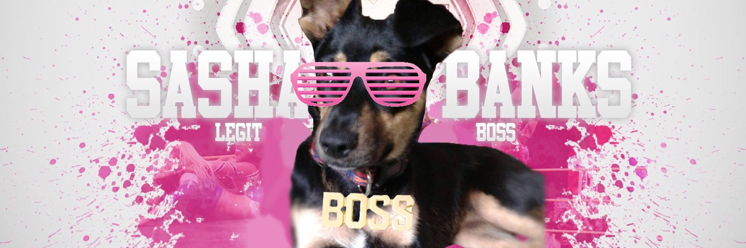 iamacebolla's profile banner image