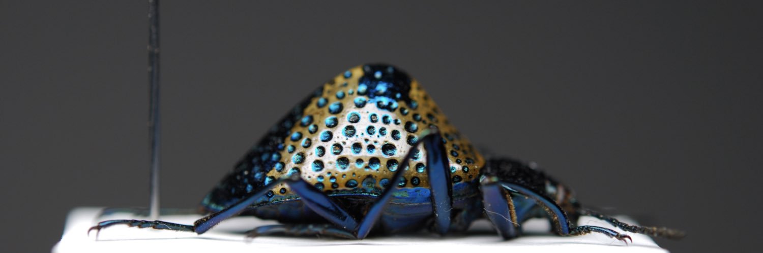 昆虫即売会インセクトポート banner