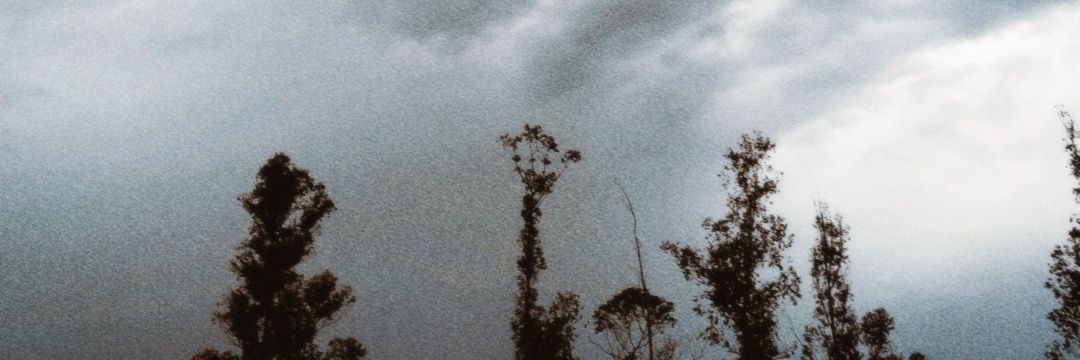 helô banner