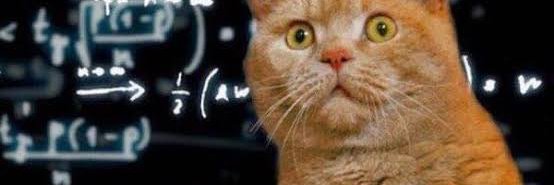 Justine Bibine banner