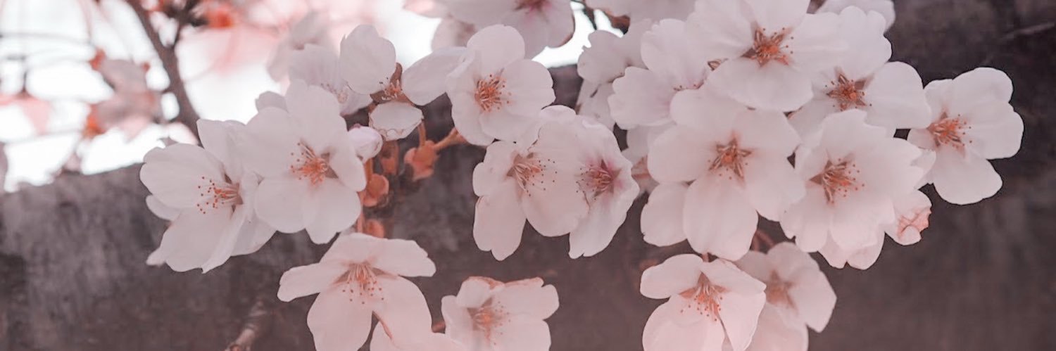 Pingeeji01's profile banner image