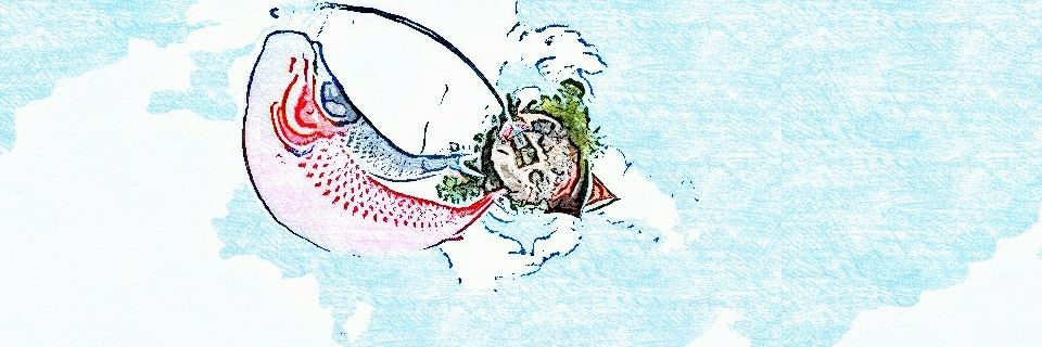 manulele81's profile banner image
