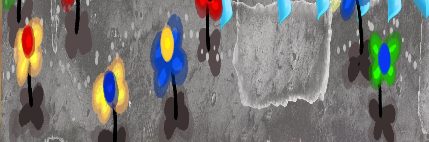 haileyjewll's profile banner image