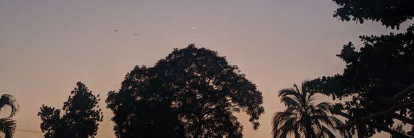 ShawkatIslam02 Profile Banner